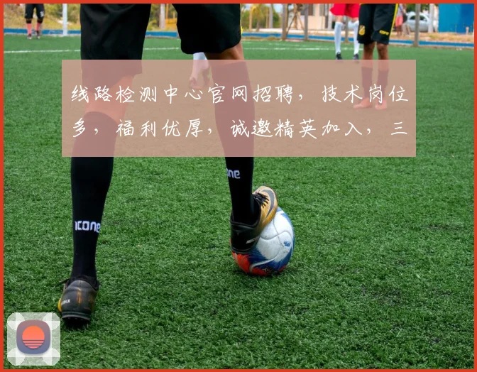 线路检测中心官网招聘,技术岗位多,福利优厚,诚邀精英加入,三岗位,速来